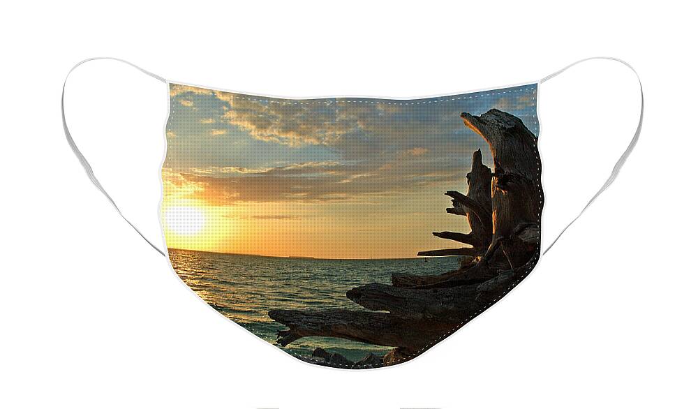 Sunset Face Mask featuring the photograph Driftwood Sunset by Susanne Van Hulst