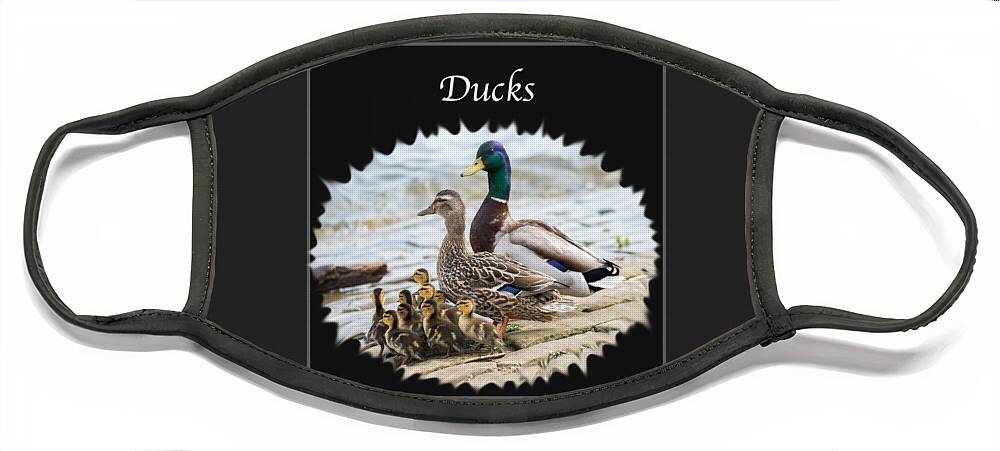 Ducks Face Mask featuring the photograph Ducks  by Holden The Moment