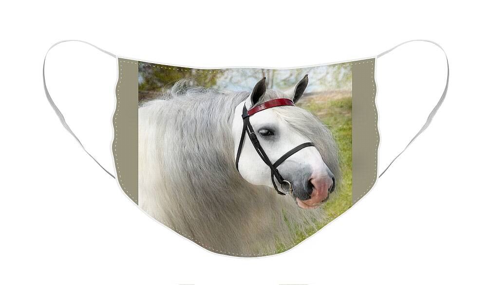 Horses Face Mask featuring the photograph Dunbrody by Fran J Scott