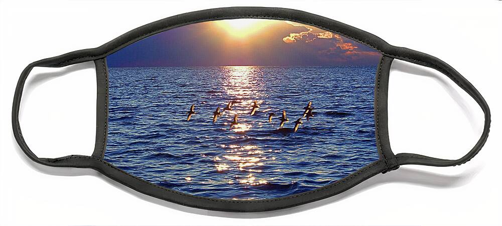 Piping Plover Face Mask featuring the photograph Dusk I I I by Newwwman