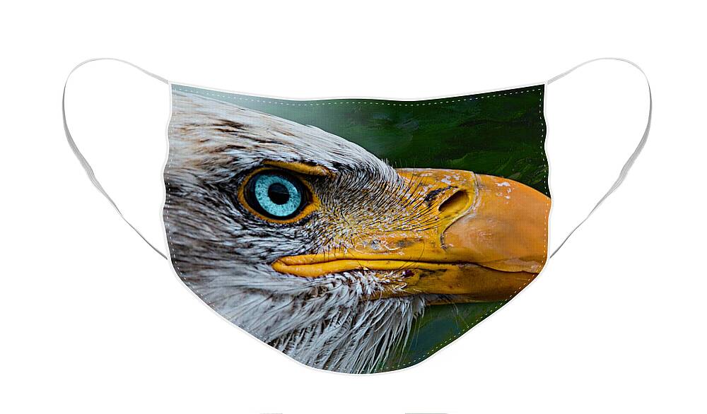 Eagle Face Mask featuring the photograph Eagle Eye by Ally White