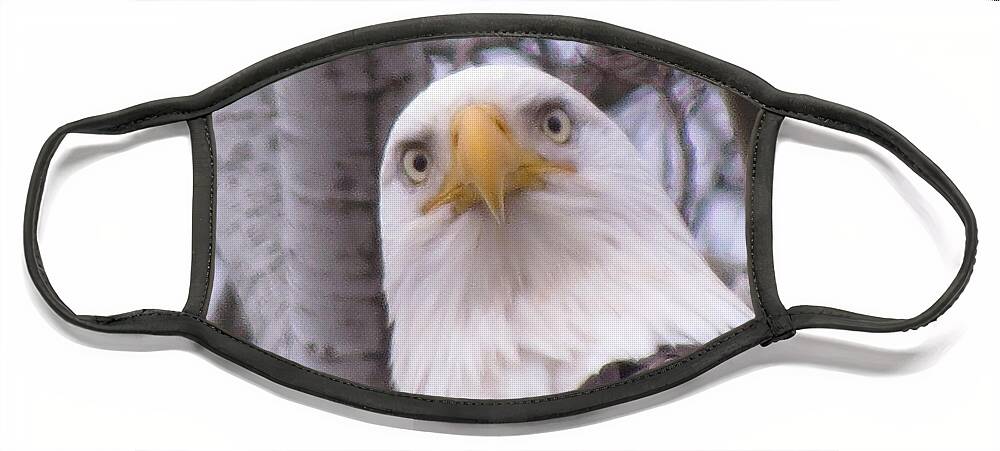 Photograph Face Mask featuring the photograph Eagle Eyes by Mary Mikawoz