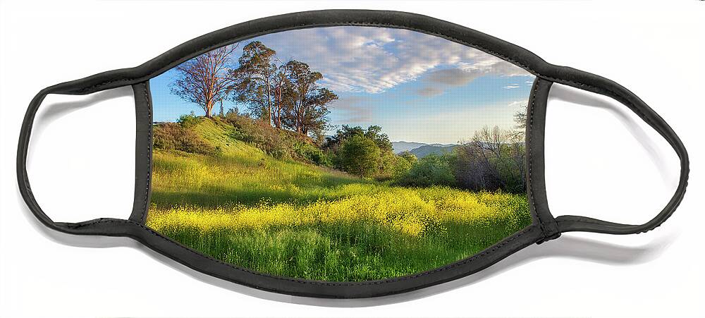 Landscape Face Mask featuring the photograph Eagle Grove at Lake Casitas in Ventura County, California by John A Rodriguez