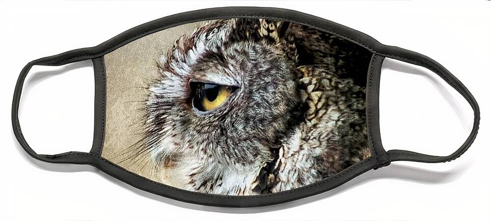 Screech Owl Face Mask featuring the photograph Eastern Gray Morph Screech Owl Profile by Melissa Bittinger