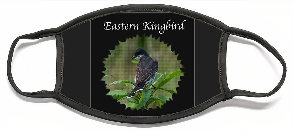 Eastern Kingbird Face Mask featuring the photograph Eastern Kingbird by Holden The Moment