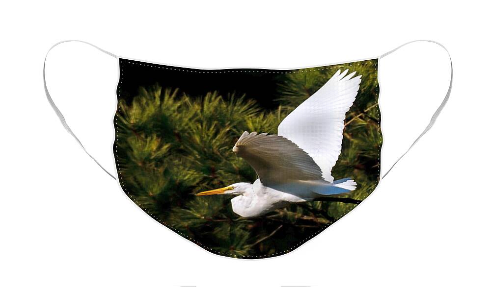 Great Egret Face Mask featuring the photograph Egret in Flight 1 by Lara Ellis