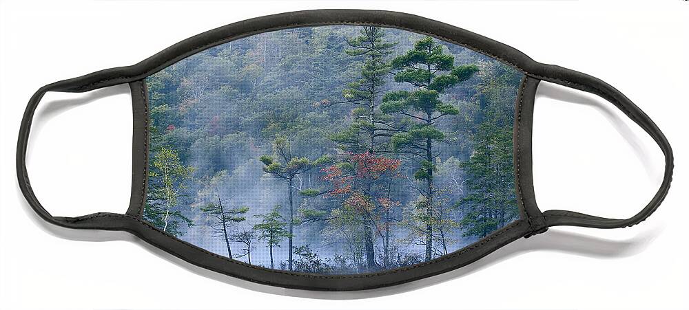 00176918 Face Mask featuring the photograph Emerald Lake In Fog Emerald Lake State by Tim Fitzharris