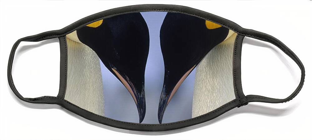 00140140 Face Mask featuring the photograph Emperor Penguin Family by Tui De Roy