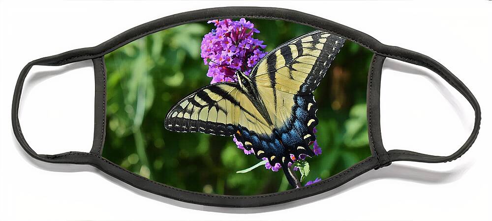 Tiger Swallowtail Butterfly Face Mask featuring the photograph End of July Afternoon Snack by Janis Senungetuk