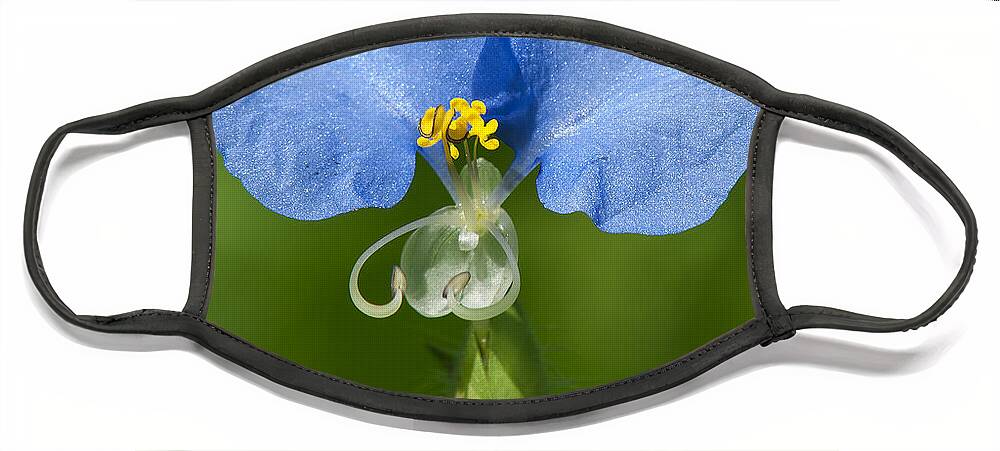 Nature Face Mask featuring the photograph Erect Dayflower DSMF0300 by Gerry Gantt