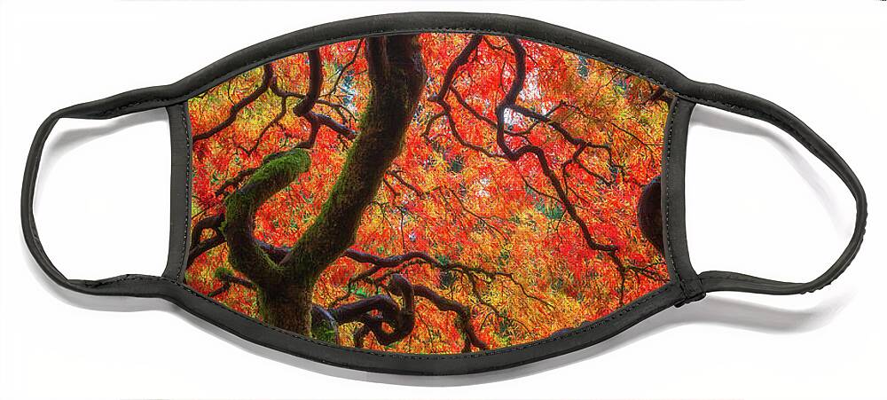 Trees Face Mask featuring the photograph Ethereal Tree Alive by Darren White