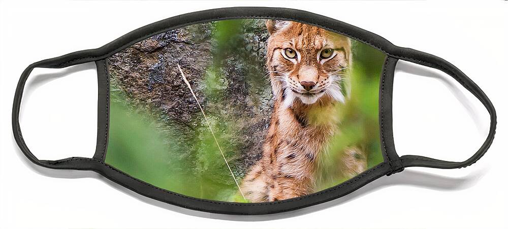 Eurasian Lynx Face Mask featuring the photograph Eurasian lynx by Torbjorn Swenelius