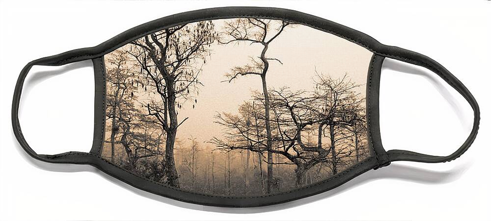 Cypress Swamp Face Mask featuring the photograph Everglades Cypress Stand by Gary Dean Mercer Clark