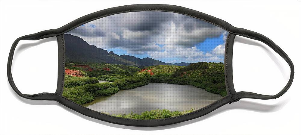 Menehune Fish Pond Face Mask featuring the photograph Everything by Laurie Search