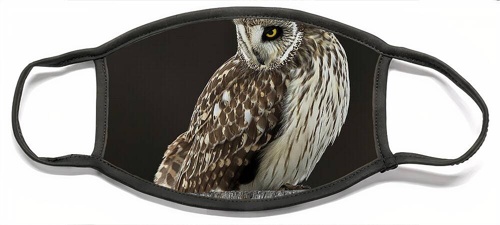 Owl Face Mask featuring the photograph Eye on the Prize by Everet Regal