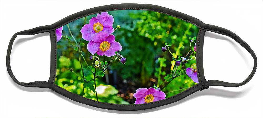 Anemone Face Mask featuring the photograph Fall Gardens September Charm Anemone by Janis Senungetuk