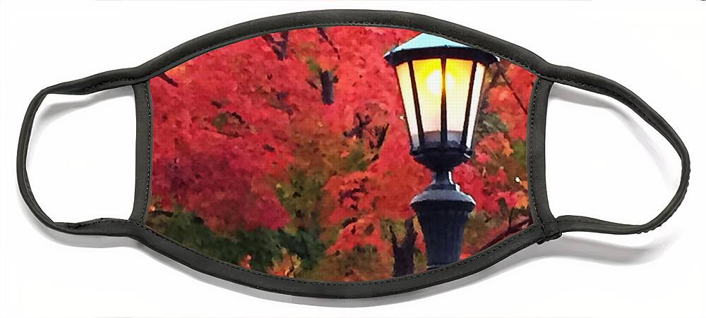 Minnesota Face Mask featuring the photograph Fall in Mac-Groveland by Tim Nyberg