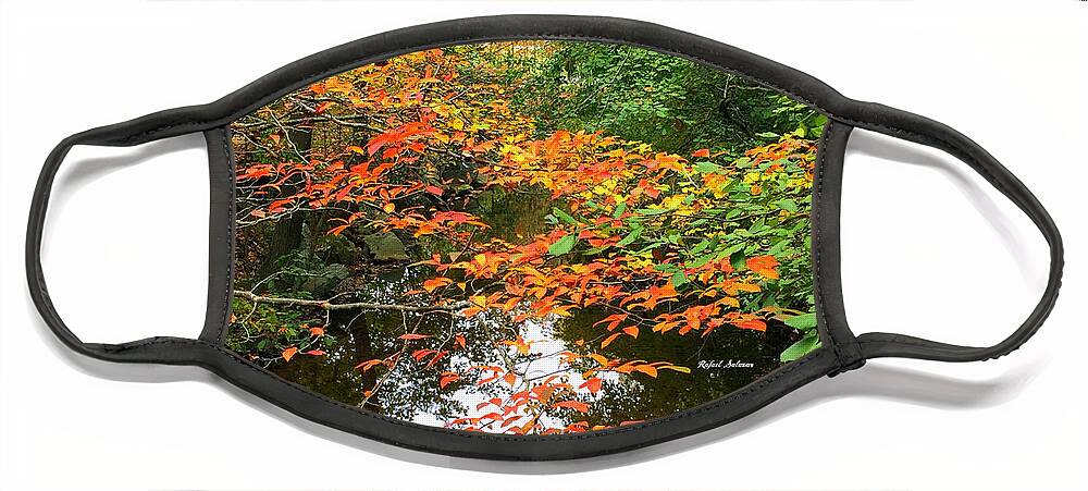Fall Leaves Face Mask featuring the photograph Fall is in the Air by Rafael Salazar