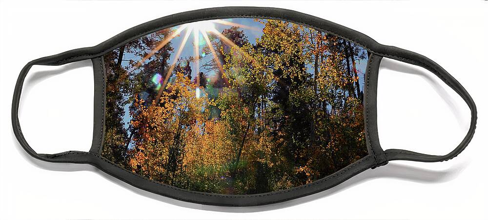 Trees Face Mask featuring the photograph Fall Mt. Lemmon 2017 by Elaine Malott