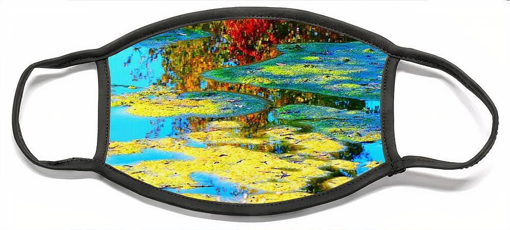 Webster Face Mask featuring the photograph Fall Pond by Jennifer Craft