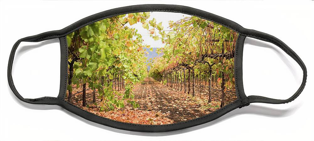 Napa Valley Face Mask featuring the photograph Fall Vineyards by Aileen Savage