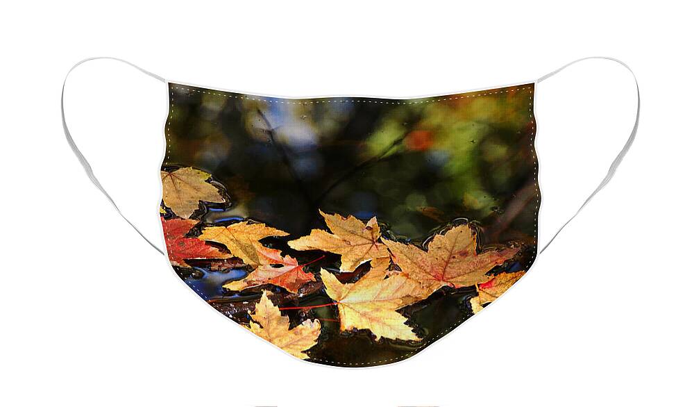 Maple Leaves Face Mask featuring the photograph Fallen Leaves On Pond by Debbie Oppermann