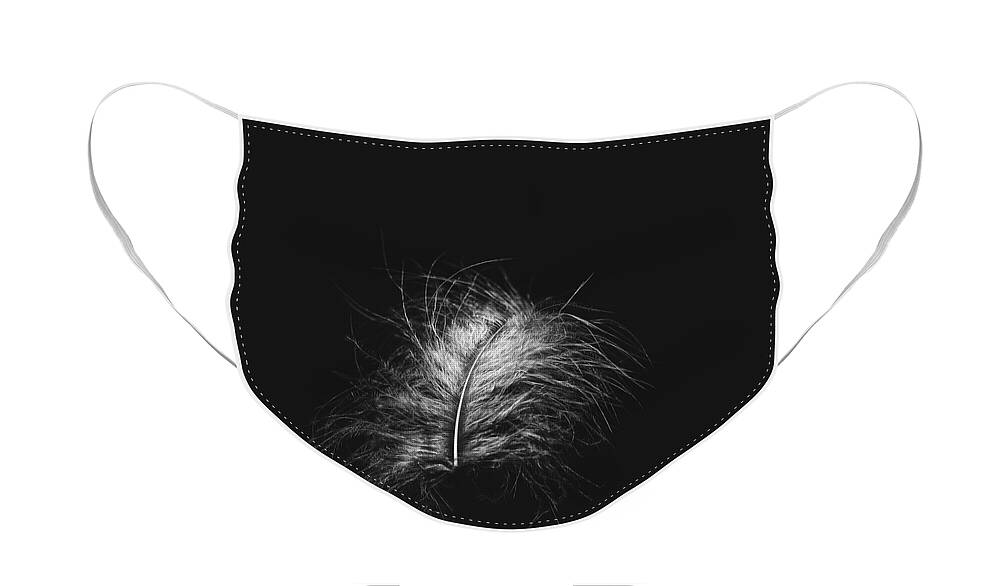 Feather Face Mask featuring the photograph Feather 3 by Scott Norris