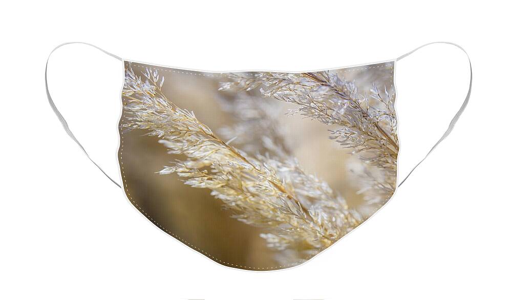 Flora Face Mask featuring the photograph Feathered by Laura Roberts