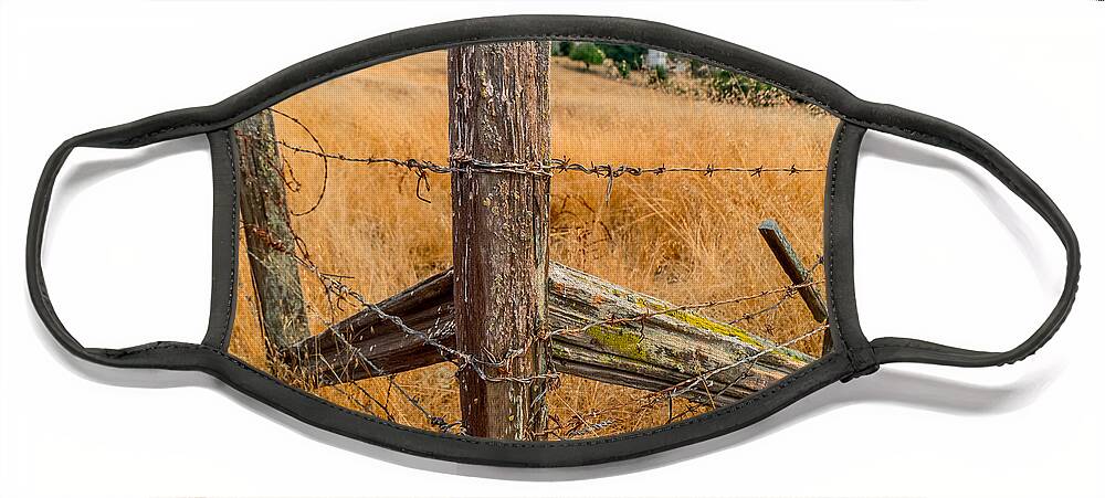 Ranch Face Mask featuring the photograph Fence Posts by Derek Dean