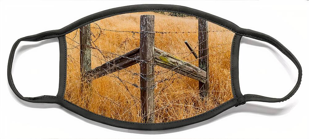 Fences Face Mask featuring the photograph Fenced In by Derek Dean