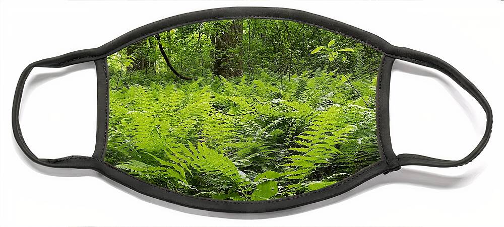Ferns Face Mask featuring the photograph Fern Woods by Vic Ritchey