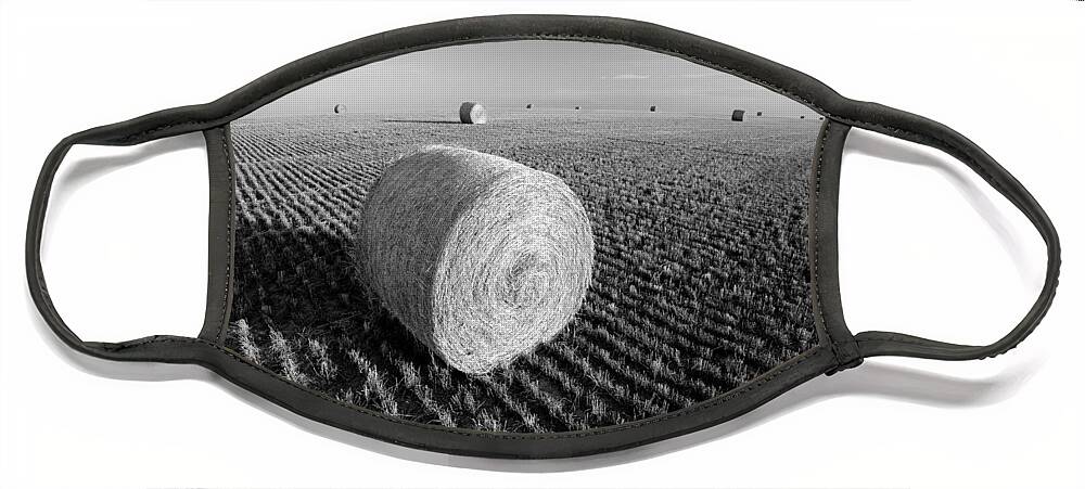 Montana Face Mask featuring the photograph Field Full of Bales in Black and White by Todd Klassy