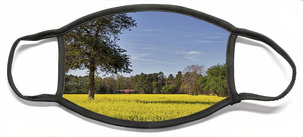 Canola Face Mask featuring the photograph Field of Canola Flowers by Stuart Litoff