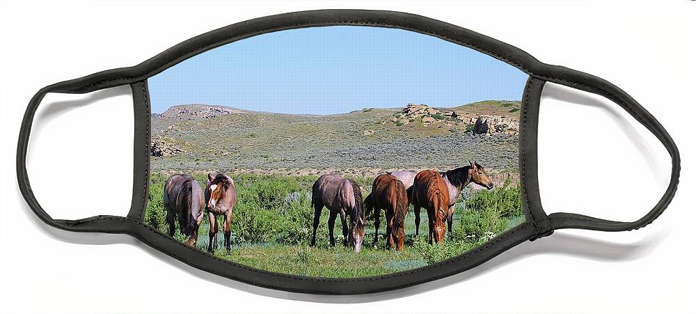Fillies Face Mask featuring the photograph Fillies Day Out by Merle Grenz