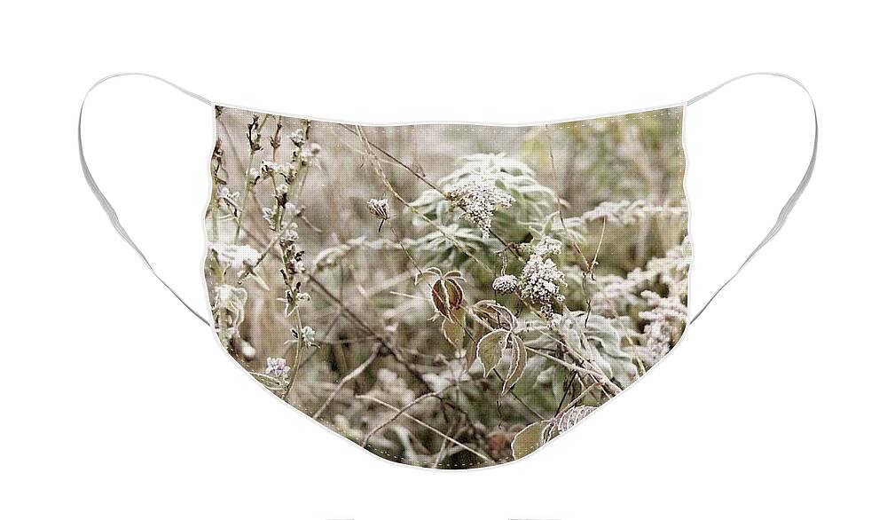 Winter Face Mask featuring the photograph First Frost by Mary Wolf