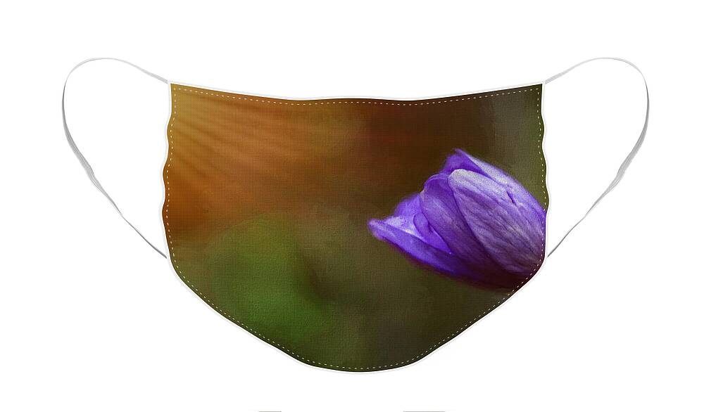 Flower Face Mask featuring the photograph First Spring Flower Rays by Mary Jo Allen