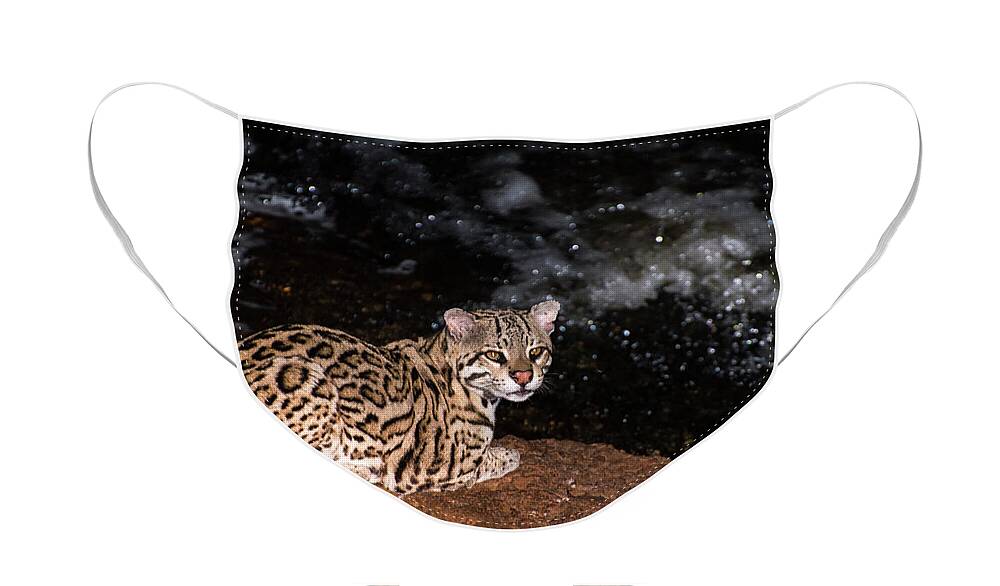 Ocelot Face Mask featuring the photograph Fishing in the Stream by Alex Lapidus