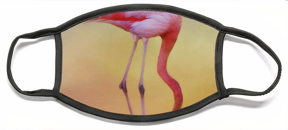 Ciconiiformes Face Mask featuring the photograph Flame Colored Wader by Lana Trussell