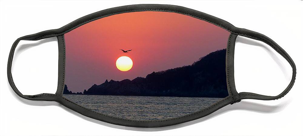 Sunset Face Mask featuring the photograph Flight Over The Sun by Rosanne Licciardi