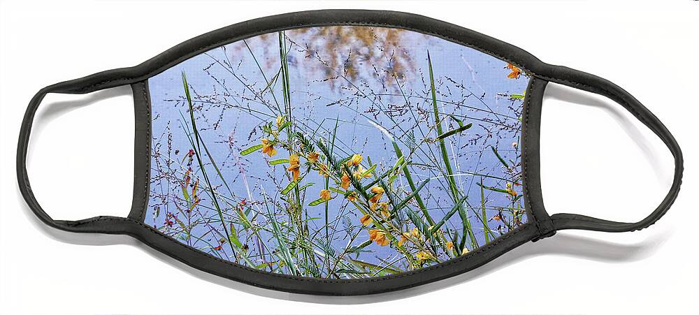 Nobob Face Mask featuring the photograph Floral Pond by Amber Flowers