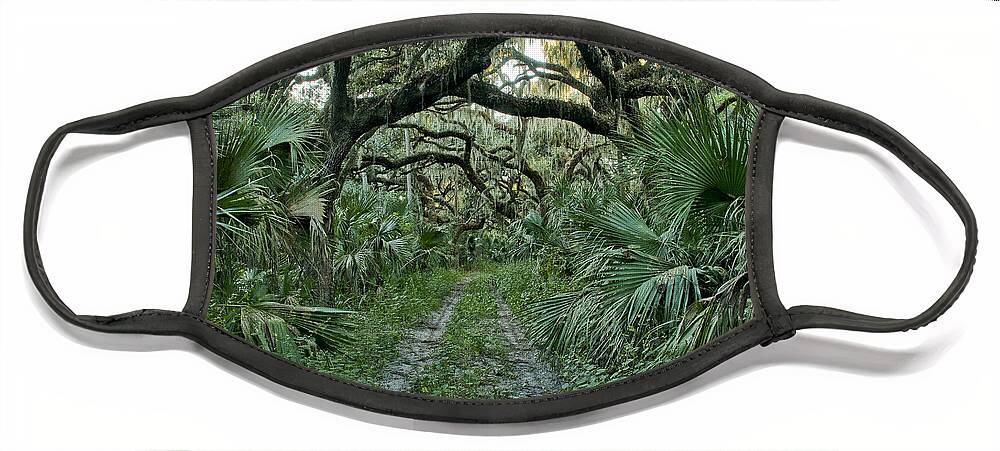 Spanish Moss Face Mask featuring the photograph Florida Wilderness by Brian Kamprath