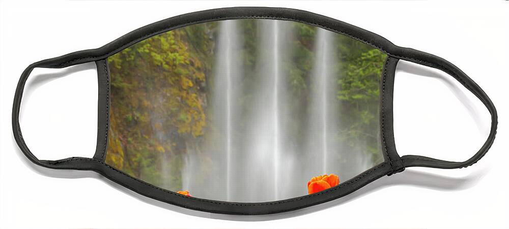 Butchart Face Mask featuring the photograph Flower Fountain by Kristina Rinell
