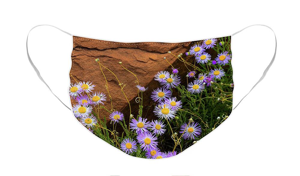 Flowers Face Mask featuring the photograph Flowers in the Rocks by Darren White