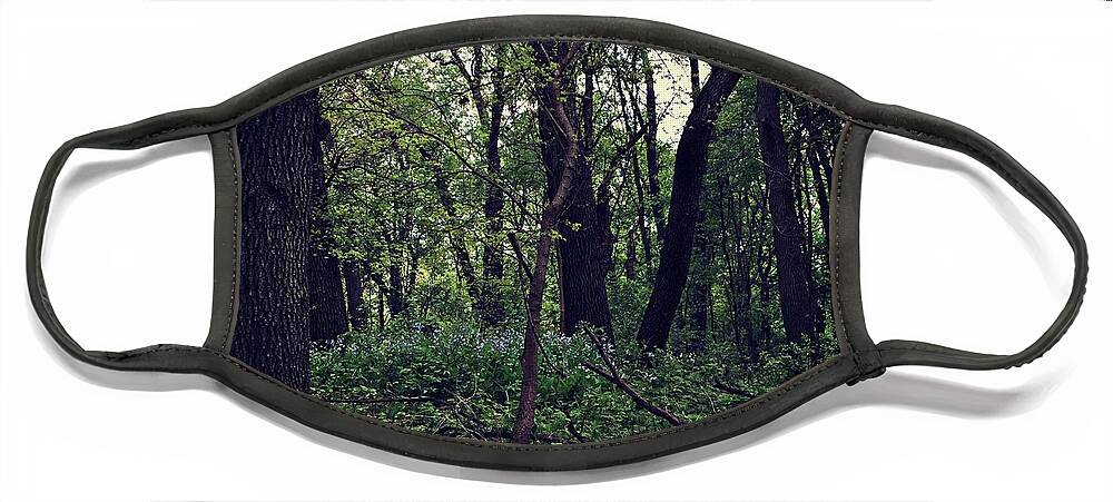 United States Face Mask featuring the photograph Flowers in the Woods by Frank J Casella