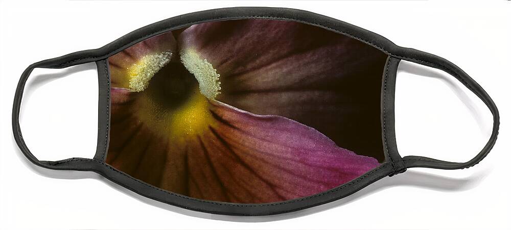 Pansy Face Mask featuring the photograph Flowerscape Pansy One by Laura Davis