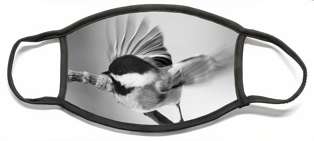 Bird Face Mask featuring the photograph Flutter Of A Chickadee's Wing by Dorothy Lee