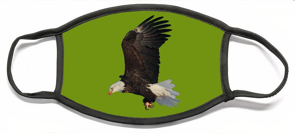 Bald Eagle Face Mask featuring the photograph Fly By by Shane Bechler