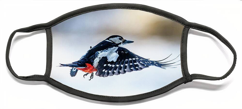 Flying Woodpecker Face Mask featuring the photograph Flying Woodpecker by Torbjorn Swenelius