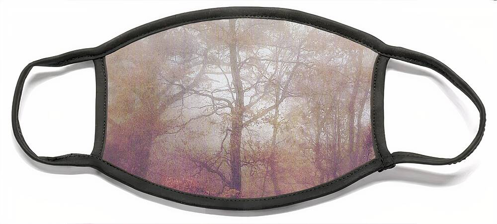 Photography Face Mask featuring the photograph Fog In Autumn Mountain Woods by Melissa D Johnston
