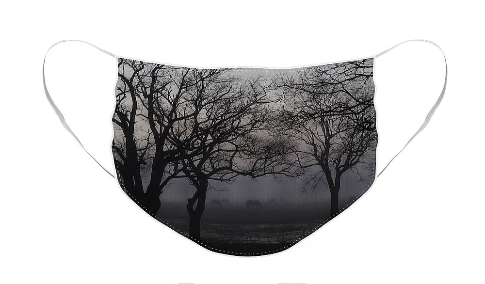 Fog Face Mask featuring the photograph Foggy Morning by Jerry Connally
